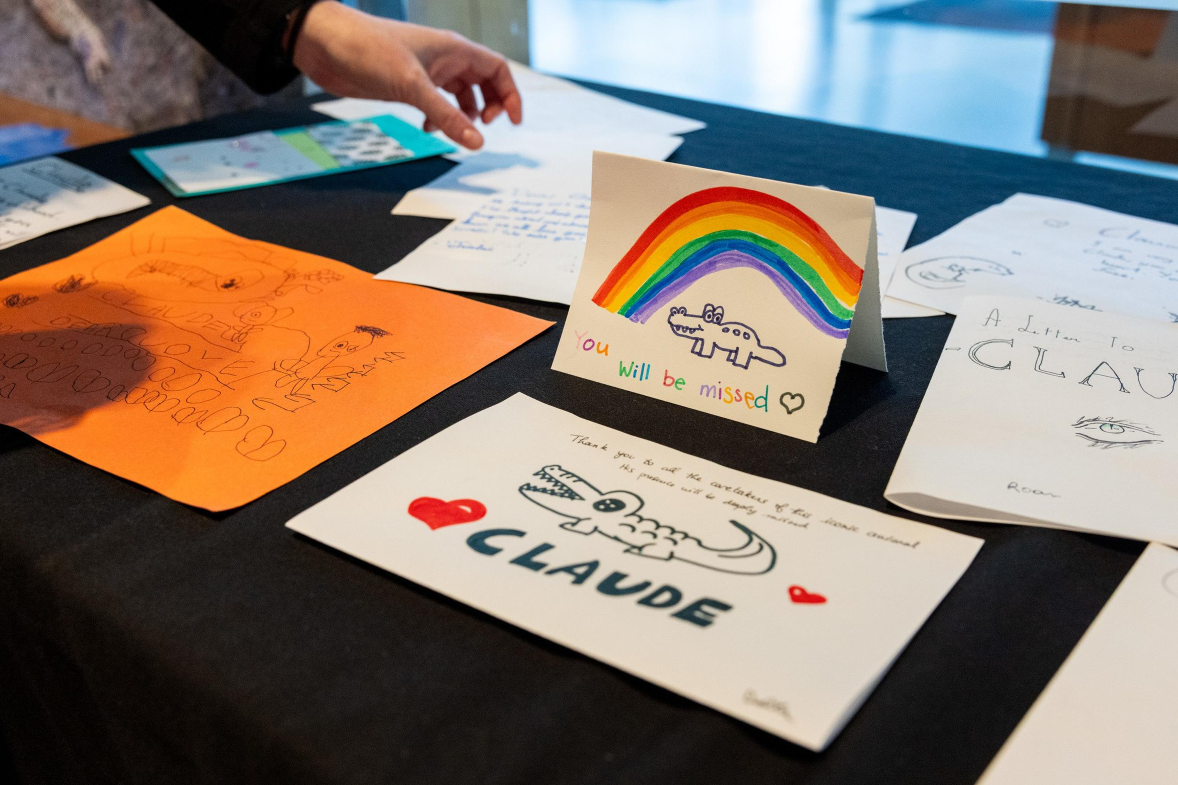 Handmade cards with drawings of crocodiles and messages like “You will be missed” and “Claude” are spread on a black tablecloth, with a hand reaching over.
