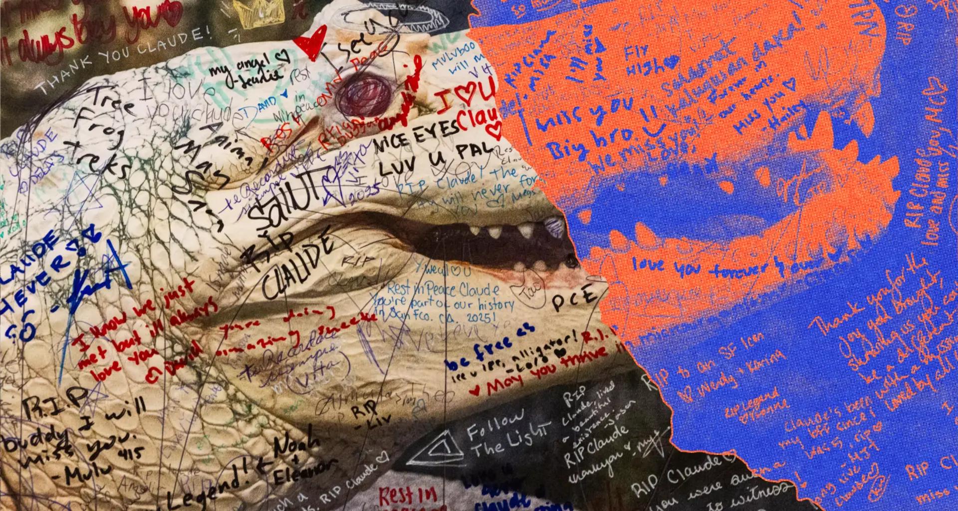 The San Francisco Standard