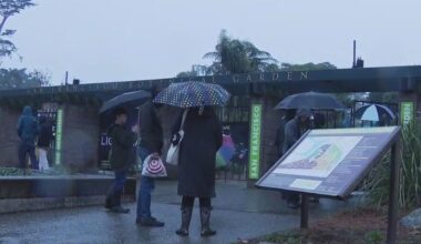 San Francisco residents brace for new storm after widespread power outages