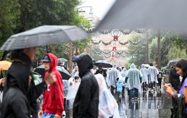 Visitors to California Adventure brave the rain along Route 66 at Cars Land at the Disneyland Resort on Friday, Nov. 14, 2025, in Anaheim, CA. (Photo by Jeff Gritchen, Orange County Register/SCNG)