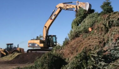 San Diego delays Christmas tree recycling program due to storm