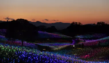 The San Francisco Standard