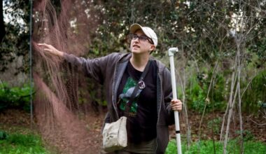 Scientists are learning how noise affects Bay Area wildlife as they work to conserve wetland birds amid a roaring urban soundscape – East Bay Times