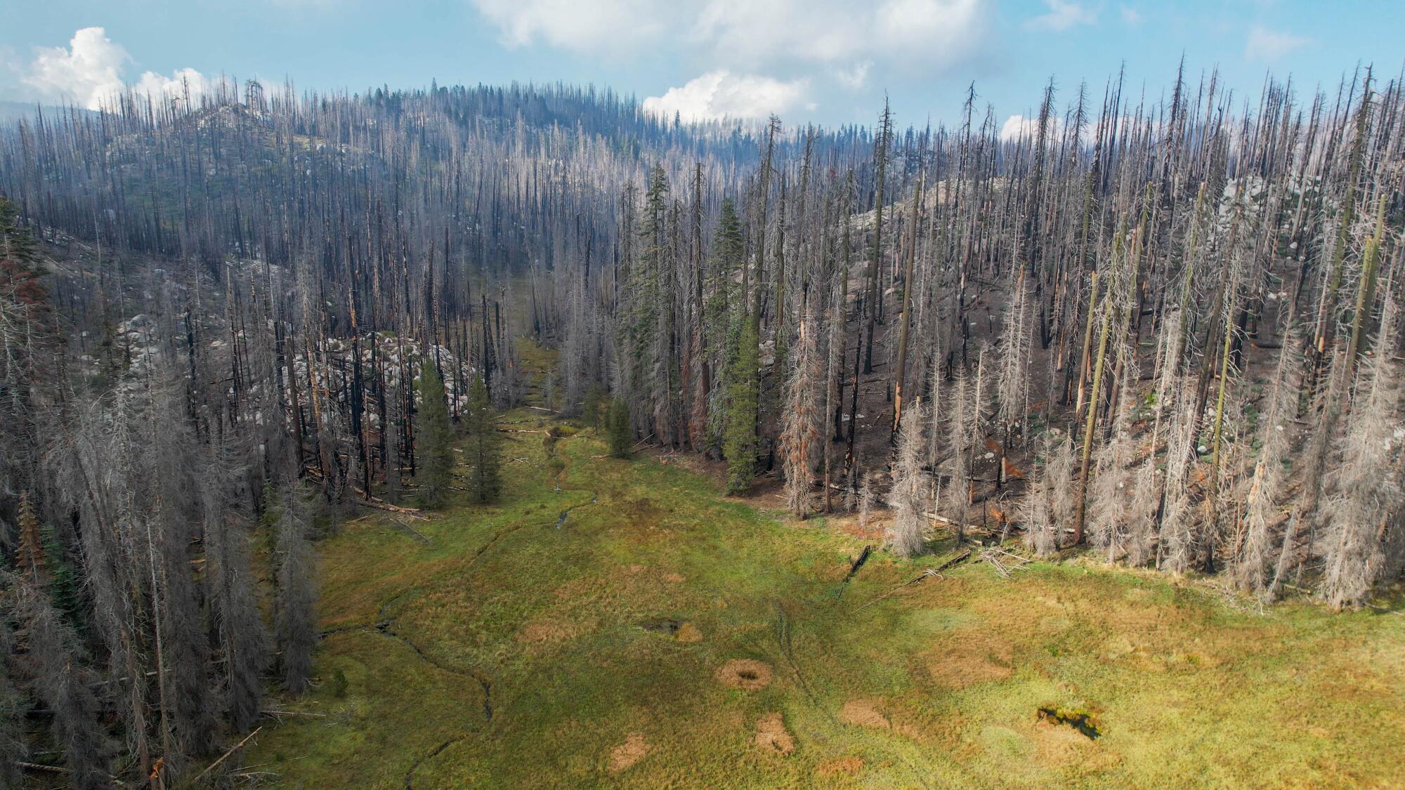 An aerial view shows the scale of the 2020 Castle fire.