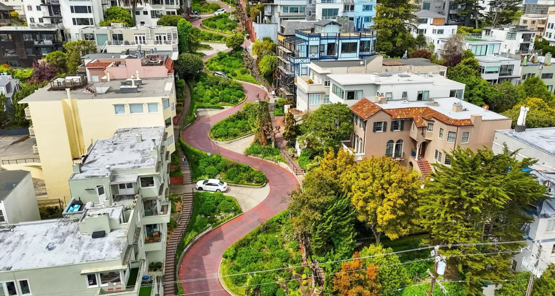 The San Francisco Standard