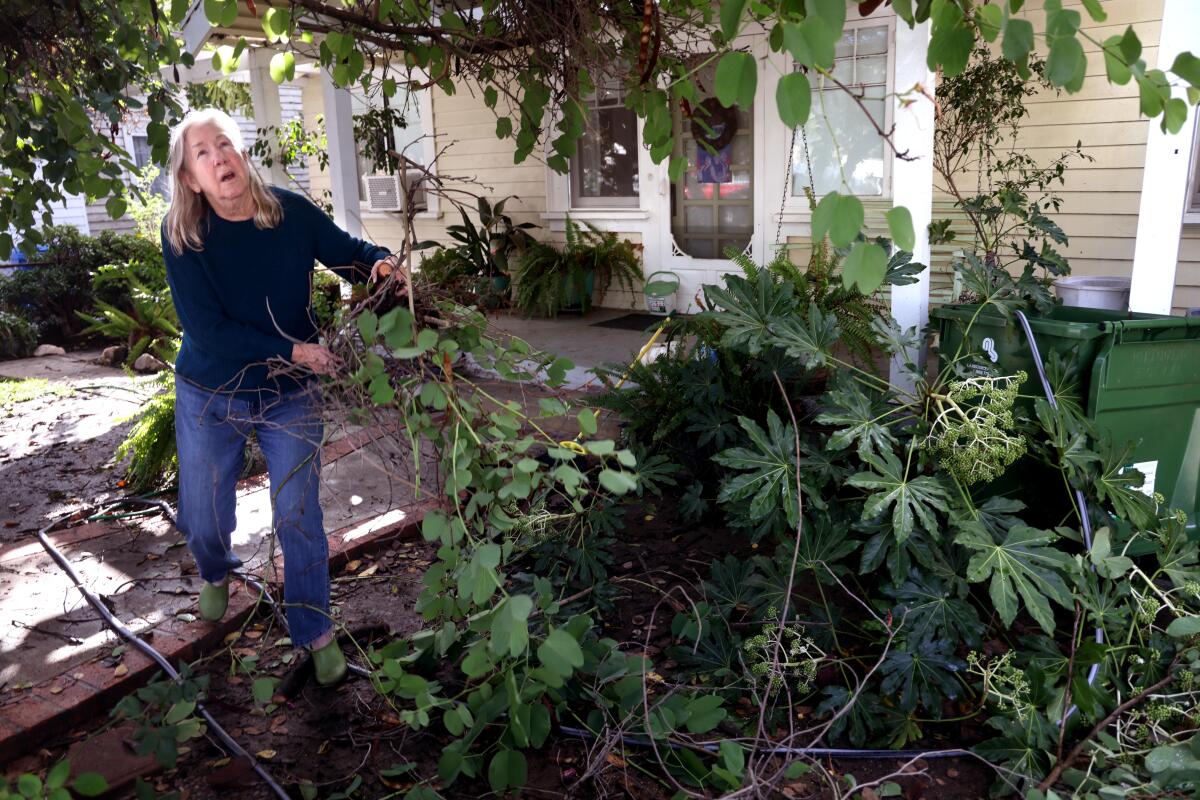 A woman cleans up damage to her front yard two days after a tornado touched down 