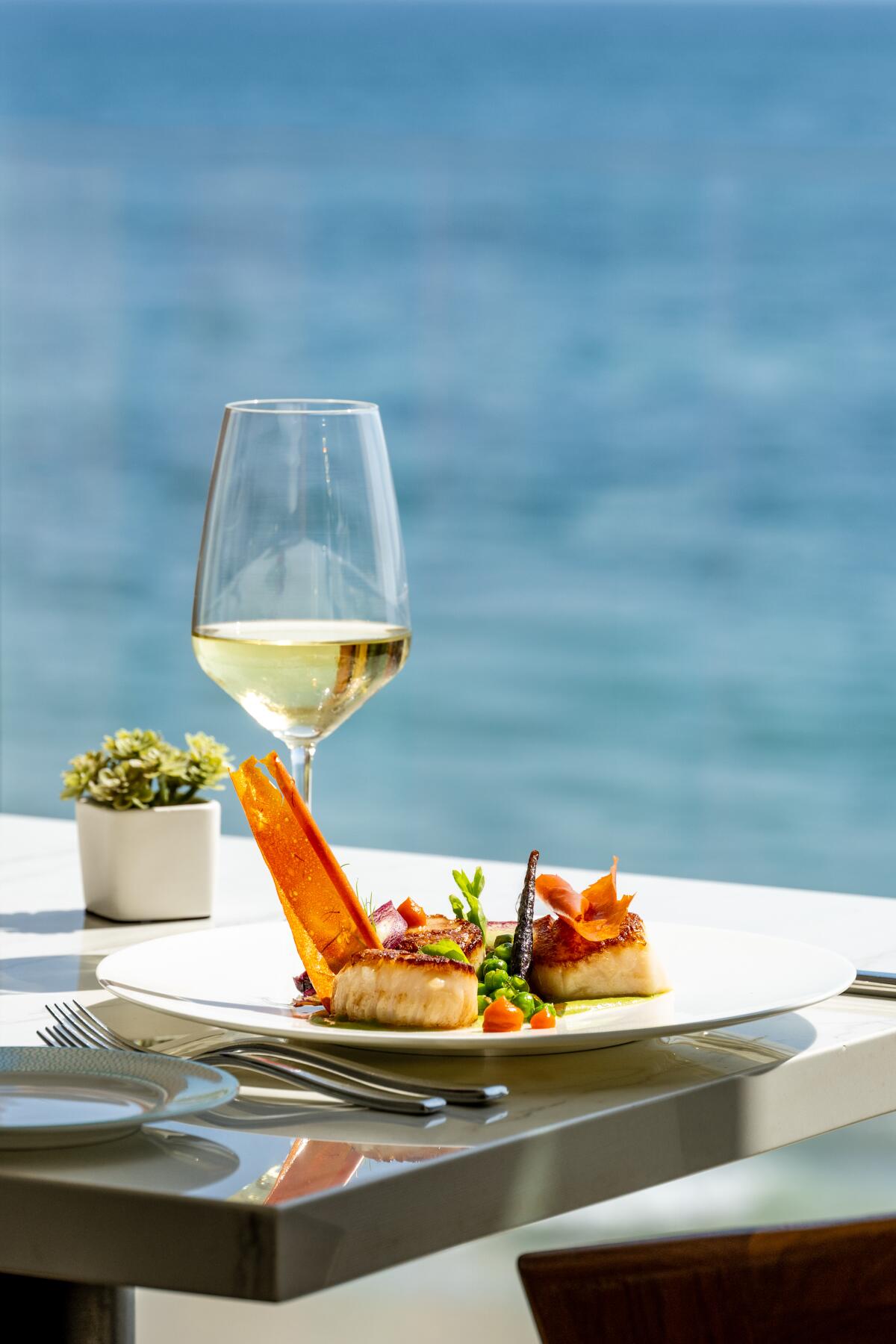 Seared Bristol scallops at Splashes Restaurant in Laguna Beach.