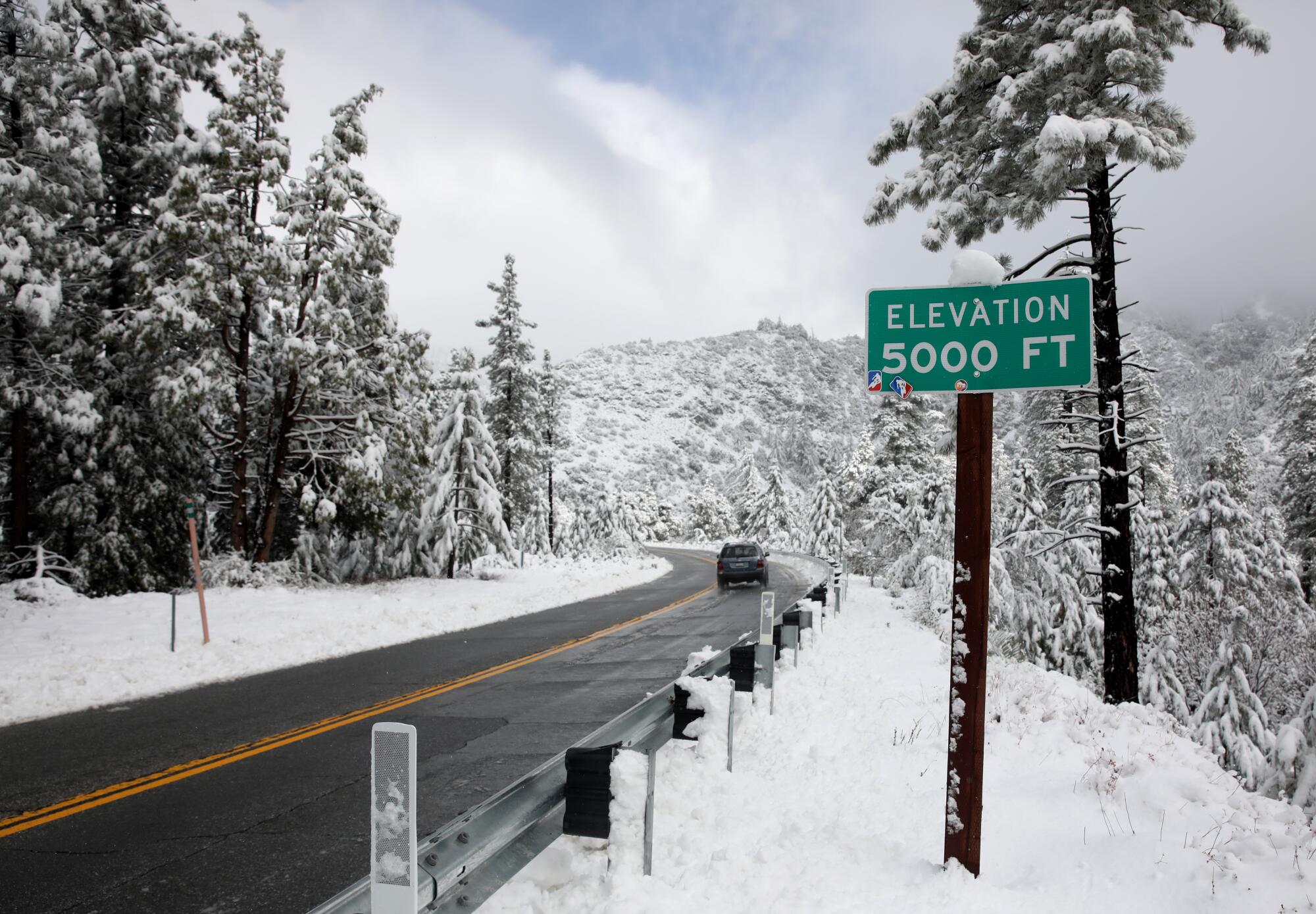 A clear highway with one car surrounded by snow-covered trees.