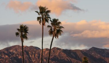 Southern California Wraps Up the Year with More Crazy Weather