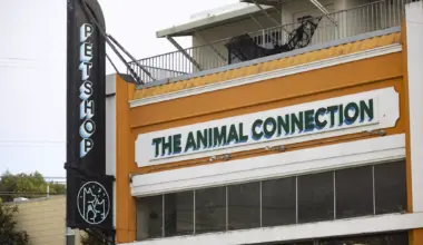 The San Francisco Standard