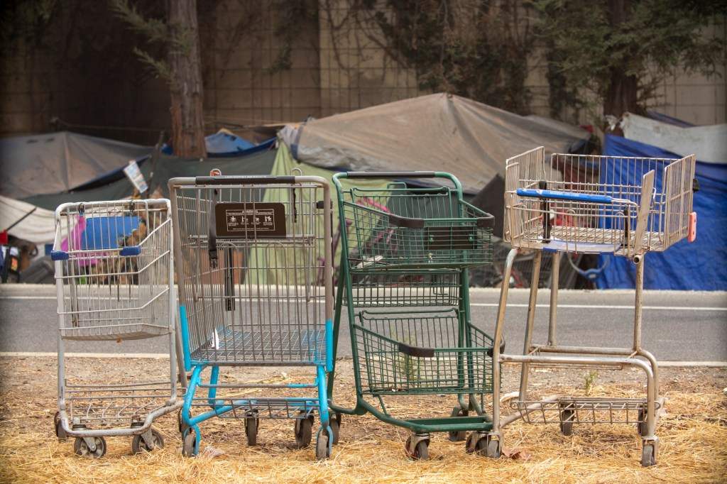 Treat shopping cart theft like the crime it is