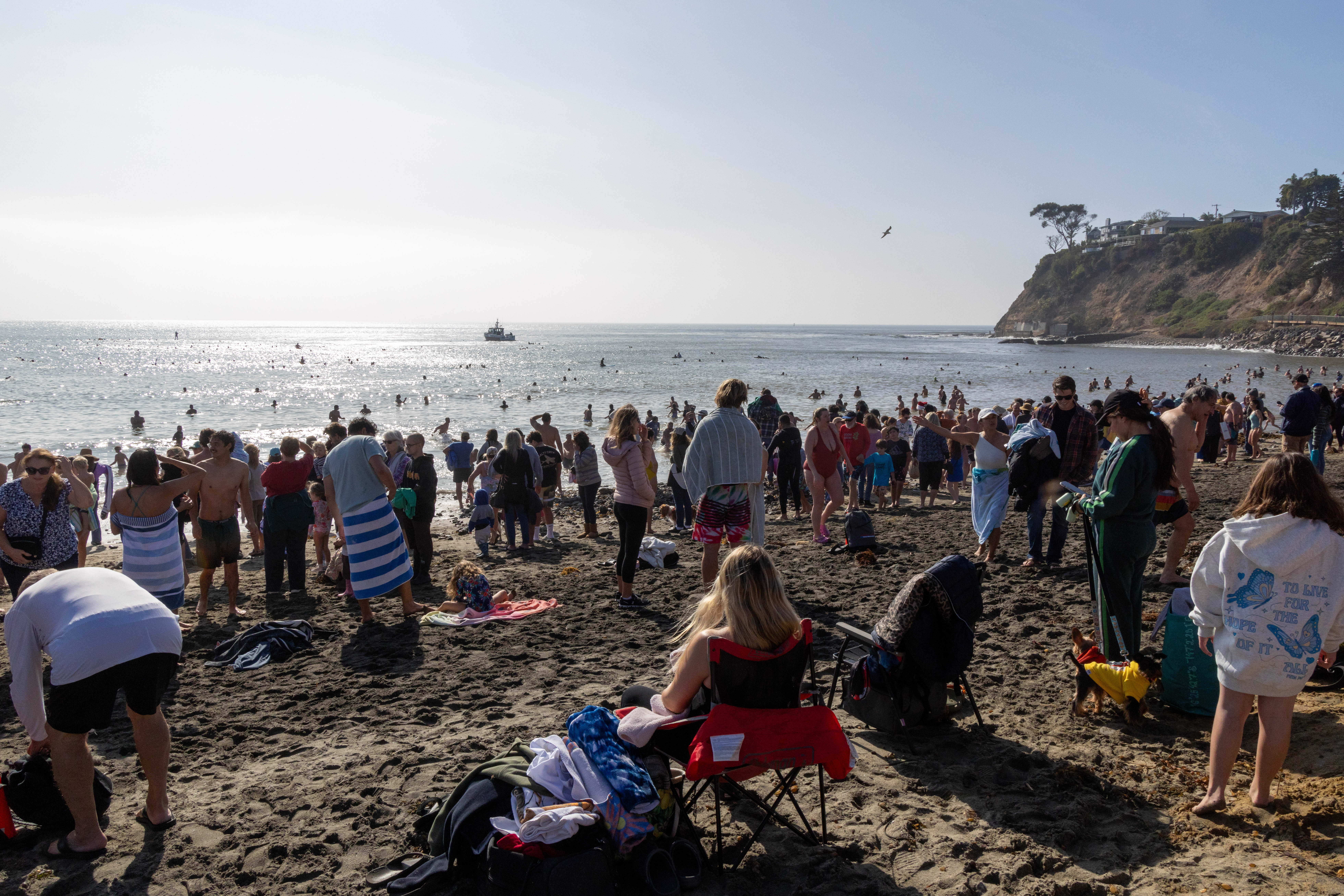 The annual Polar Bear Swim took place at Cabrillo Beach...