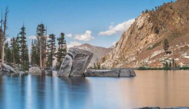 The 10 Most Popular Stories of 2025 at 7x7