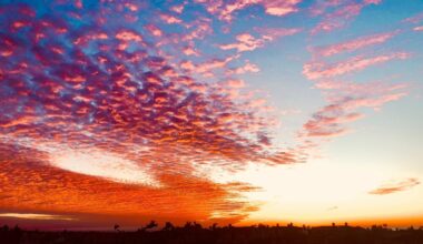 San Diego’s winter sunsets explained – NBC 7 San Diego