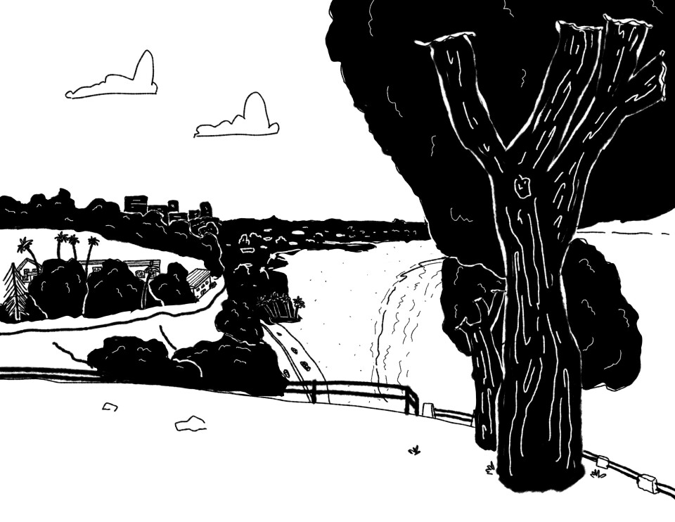 A white and black illustration of a large tree on a bluff overlooking another bluff on the left and the ocean and beach coming from the right and center. Shapes of buildings and greenery and two clouds in the sky are seen in the background.