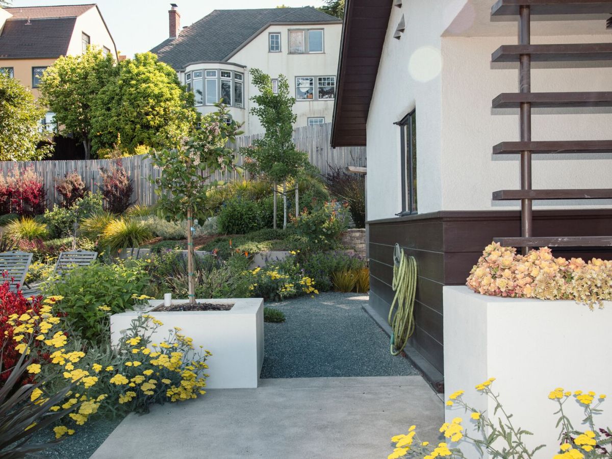 Ban on vegetation near some Berkeley Hills homes starts Jan. 1. Here’s what to know