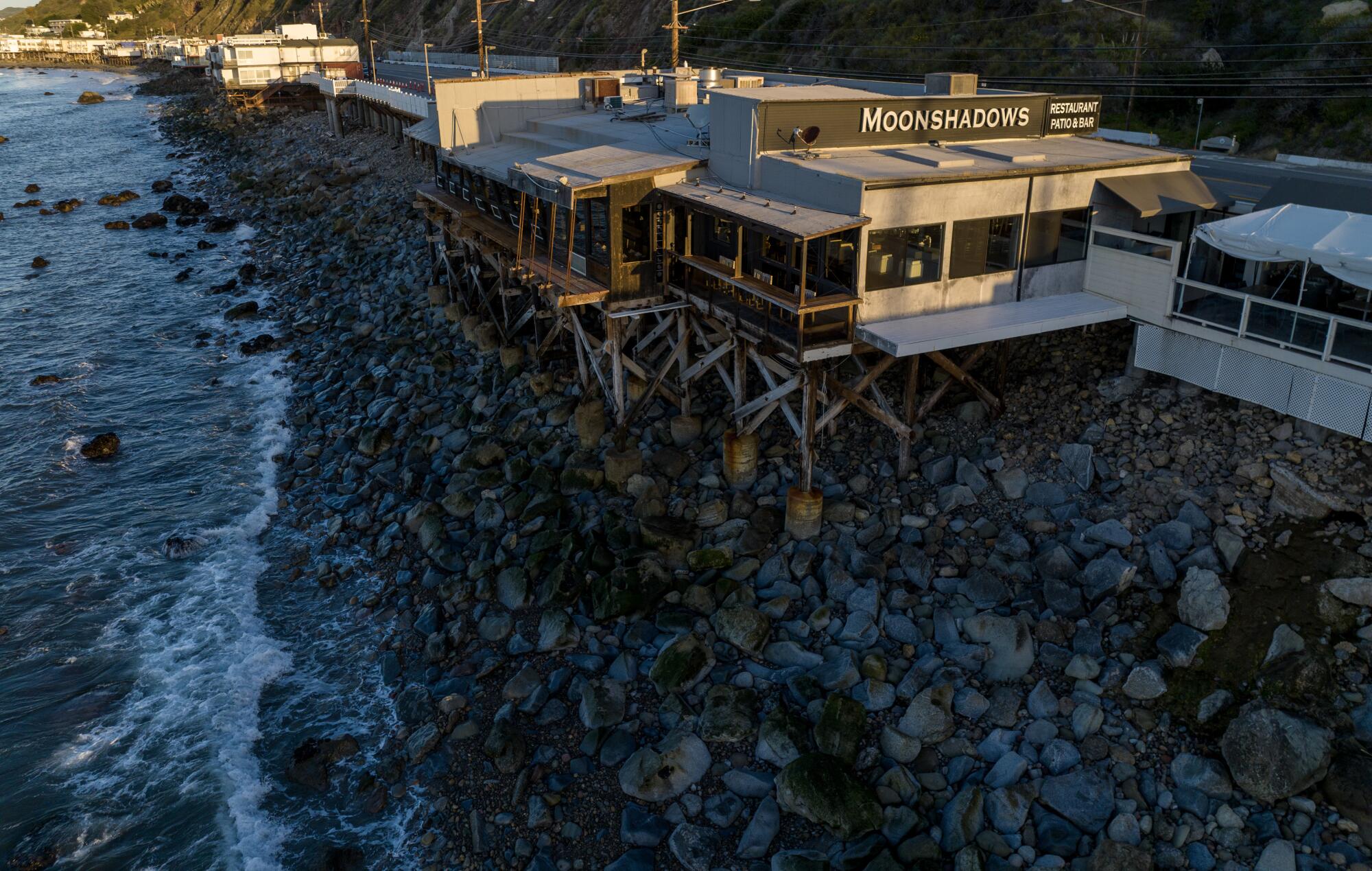 Moonshadows, pictured in 2023.