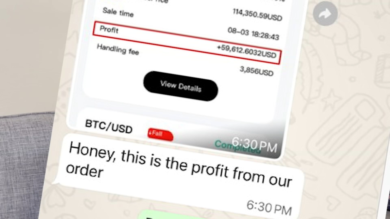 Pig butchering: Bay Area widow loses nearly $1M in crypto scheme, ChatGPT alerts her to scam