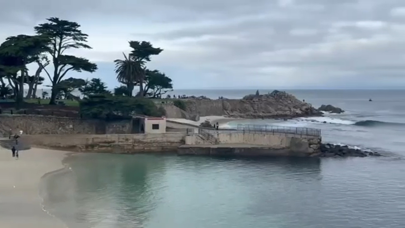 Search underway for missing CA swimmer after possible shark attack