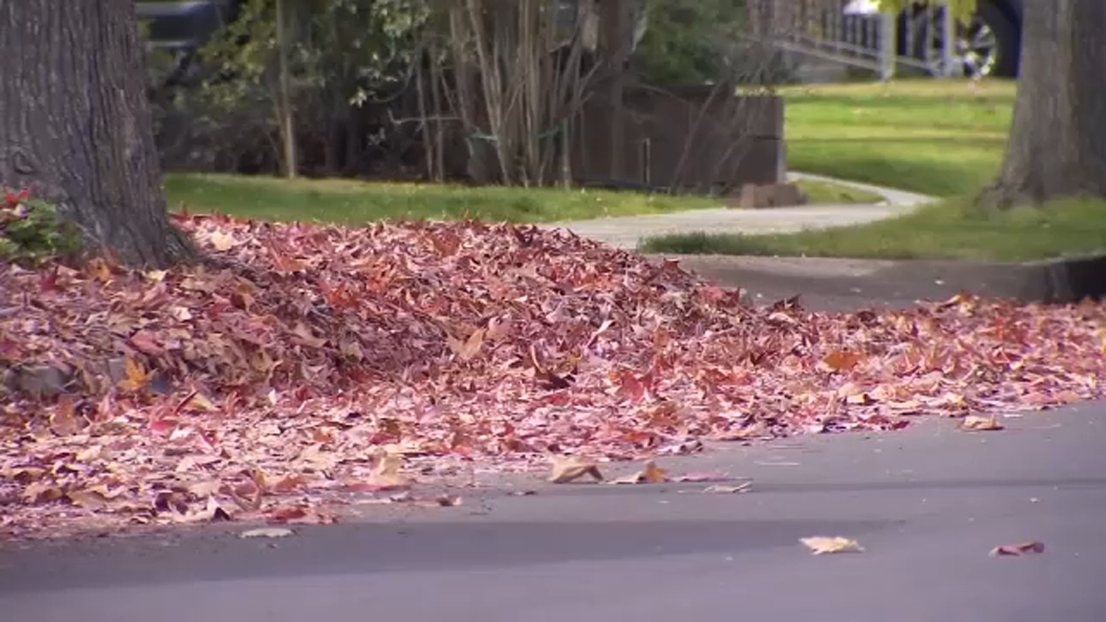 Fresno prepares for flooding as storm brings heavy rain and strong winds