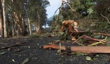 Over 125K PG&E customers in Northern and Central CA lost power from storms