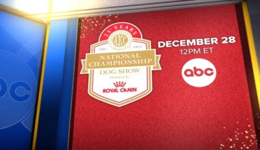 What to know for the AKC National Championship