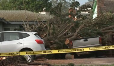 San Mateo County coast see strong winds, downed trees during tornado warning