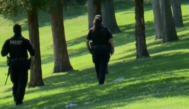 Second man arrested in connection with Davis shooting on Picnic Day