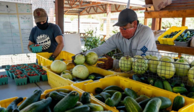 Fed cuts force San Jose farm to reduce food aid