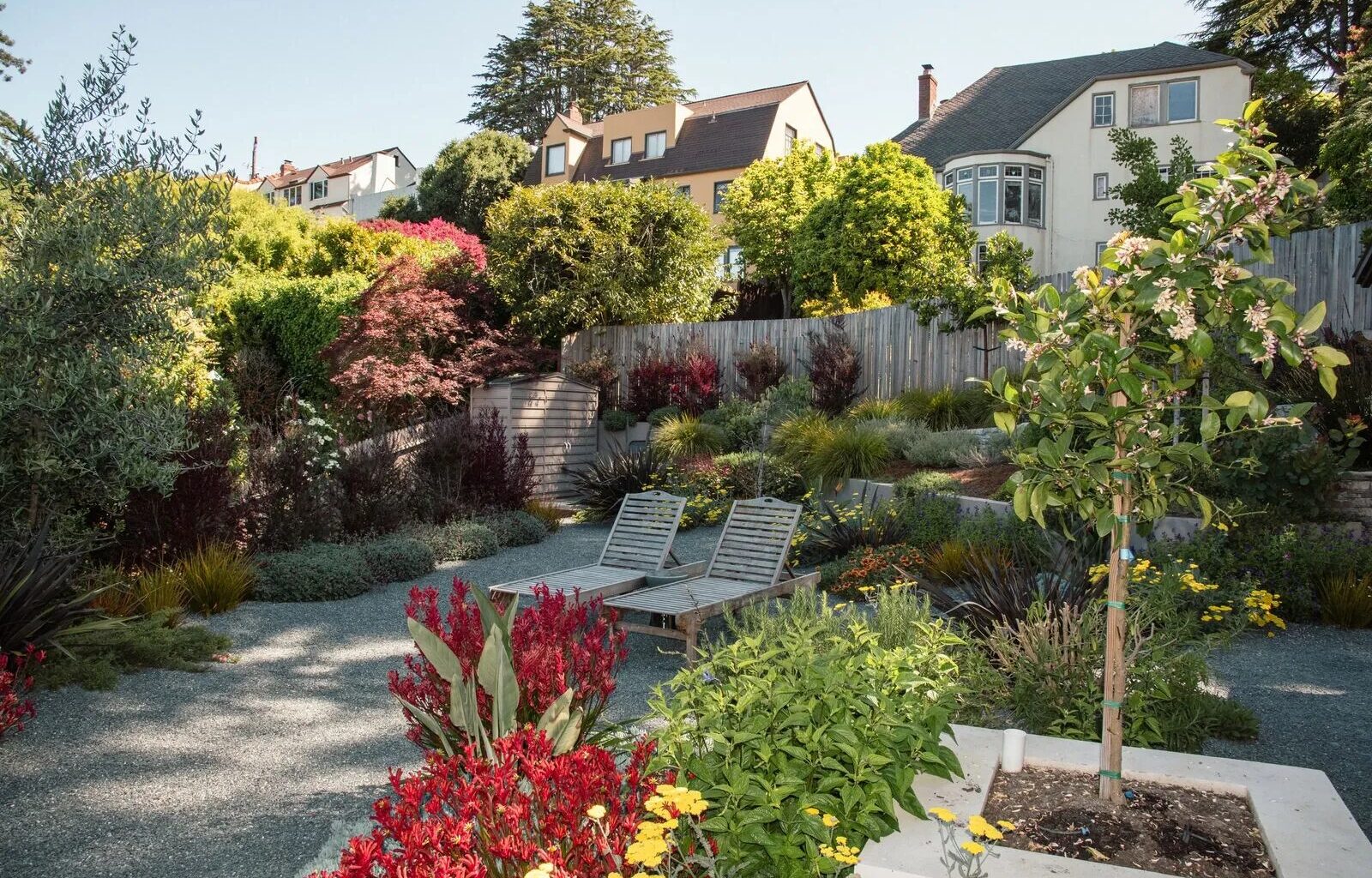 Can yards in the Berkeley Hills be both fire-safe and beautiful?