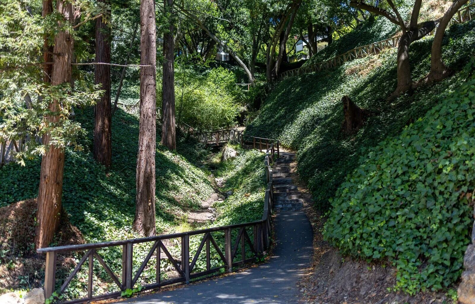Berkeley’s John Hinkel Park is a ‘dream world, green world’
