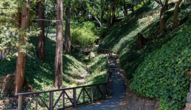 Berkeley’s John Hinkel Park is a ‘dream world, green world’