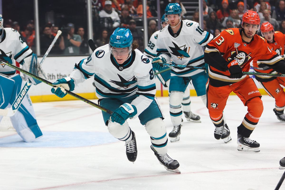 #81 RW Adam Gaudette of the San Jose Sharks chases the loose puck during an NHL game against the Anaheim Ducks on December 29, 2025 in Anaheim, CA.