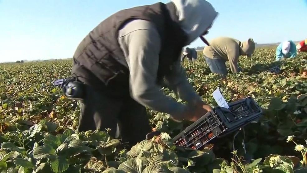 Trump administration advances plan to boost water for Central Valley farmers (KBAK/KBFX)
