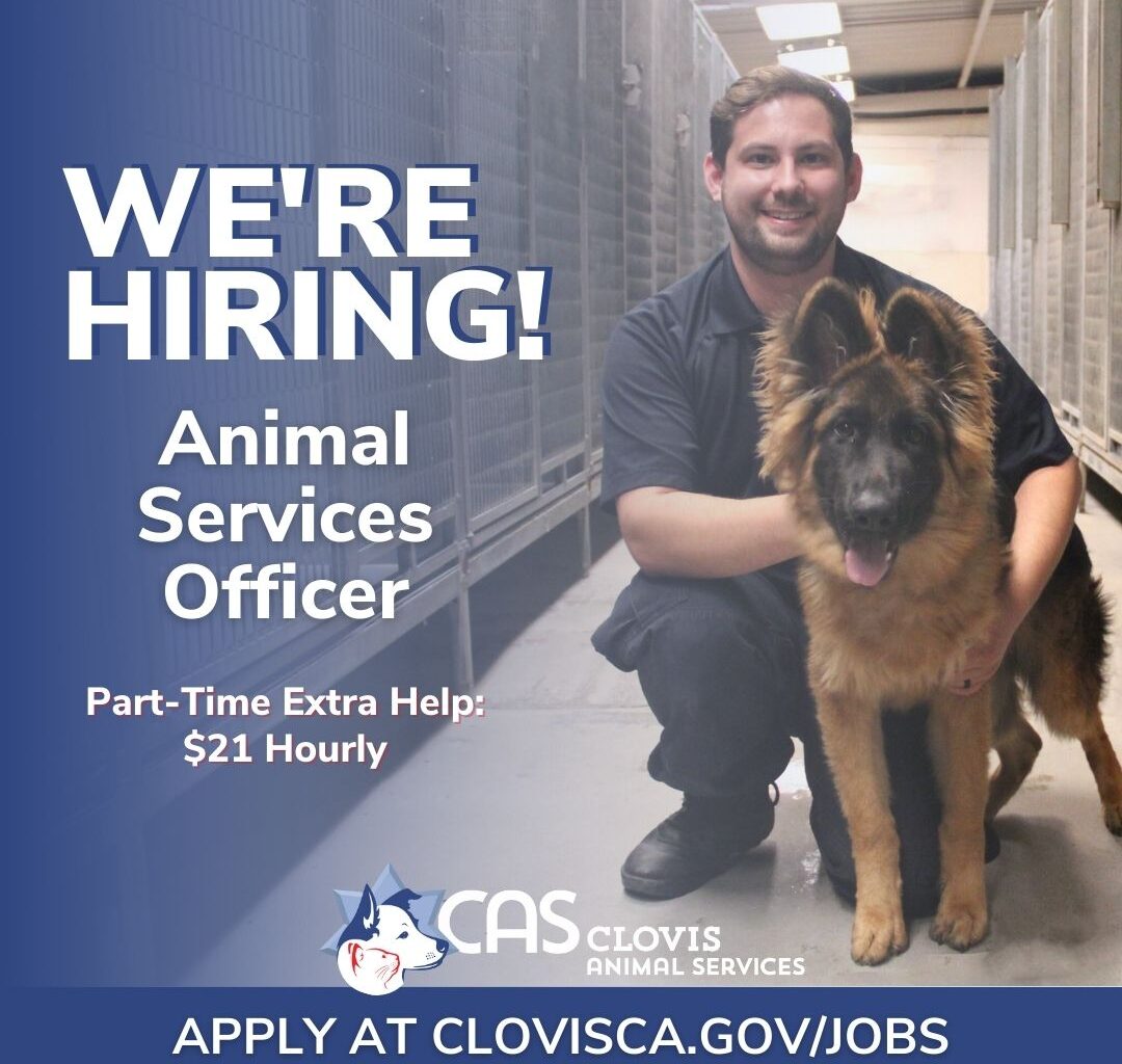 City of Clovis seeking part-time Animal Services Officer to support community and animal care
