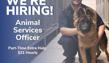 City of Clovis seeking part-time Animal Services Officer to support community and animal care