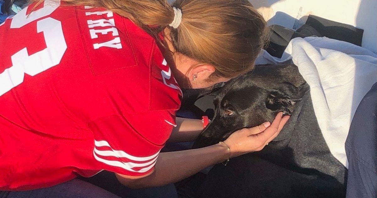 Lifeguards rescue dog swept out to sea by rip current off San Diego coast :: WRAL.com