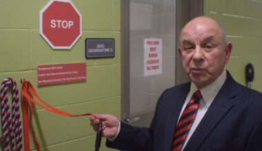 Oakland Co. says new dog license program will help reunite lost pets, owners – The Oakland Press