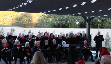 Fullerton Arboretum's holiday market features community, crafts and cocoa | Lifestyle