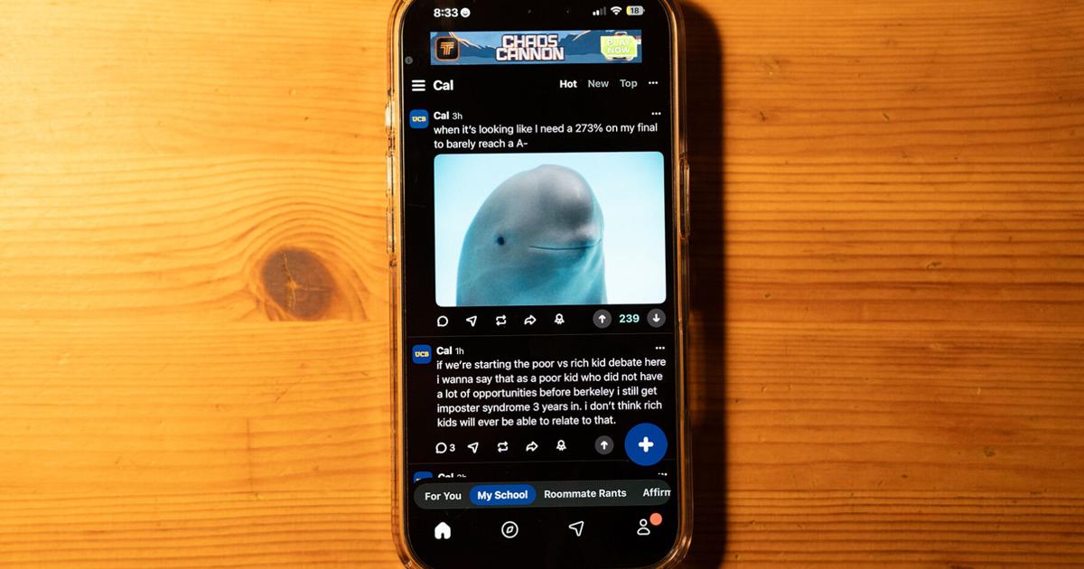 Introducing UC Berkeley’s best 2025 Yik Yak moments | Local Guides