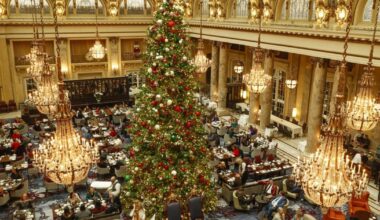 What to do in San Francisco this week: 18 pre-holiday events | Events