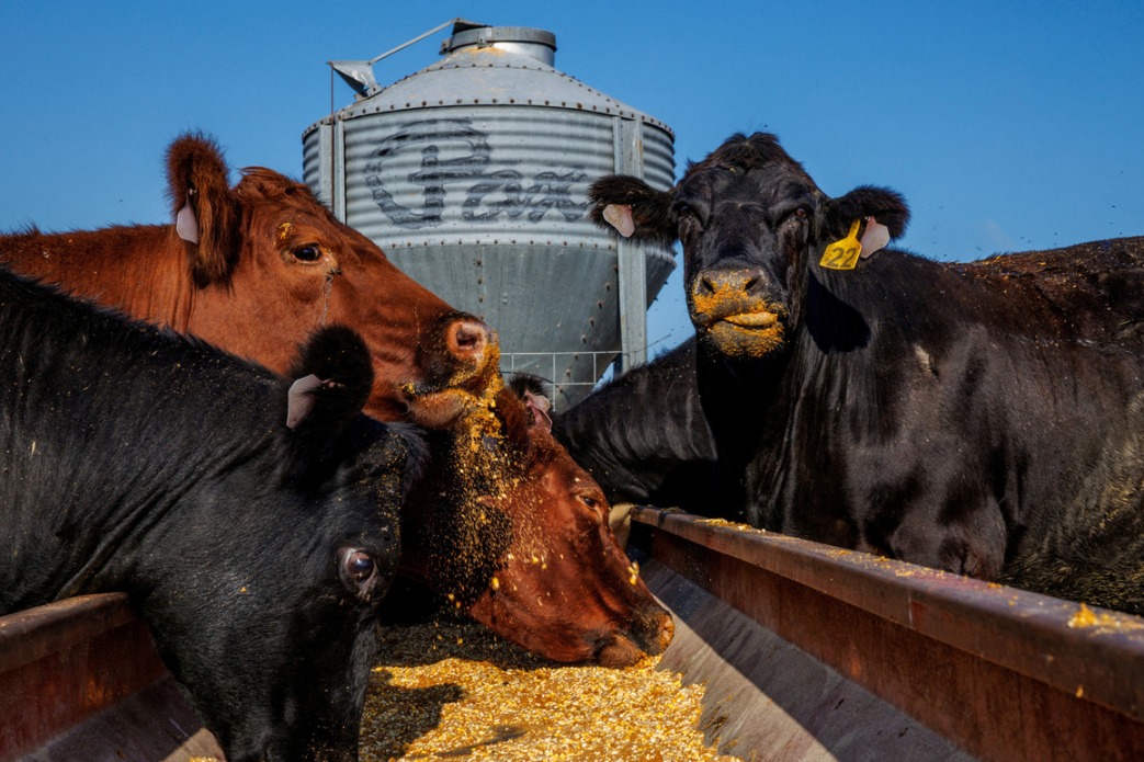 Southern California newspapers call Trump's trade policies 'disaster'