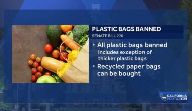 California grocers prepare for plastic bag ban