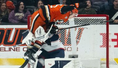 29 left to lift Ducks past Blue Jackets, 4-3 :: WRAL.com