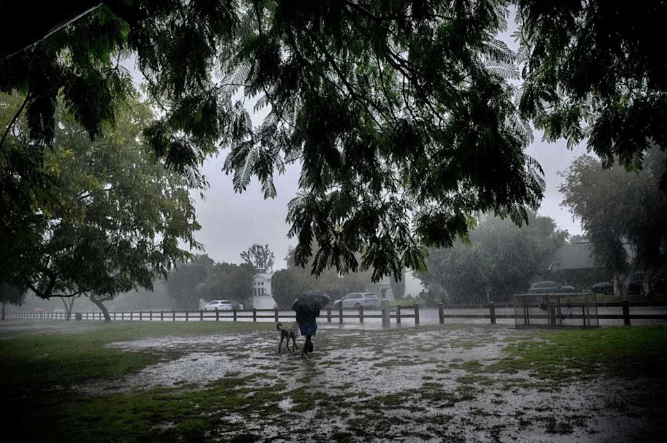 A lone dog walker braves the pouring rain in the Encino section of Los Angeles on Tuesday, Oct. 14, 2025. (AP Photo/Richard Vogel)