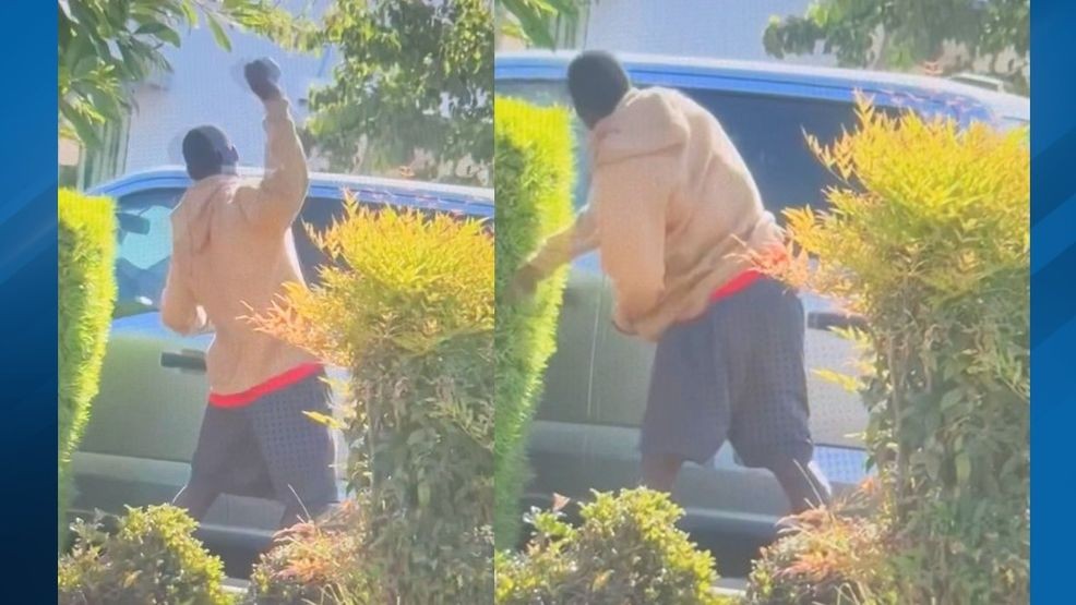 {p}A 19-year-old man was arrested a day after allegedly throwing a rock at a truck’s window while waiting in a McDonald’s drive-thru line, unprovoked, and injuring the driver. PHOTO: BPD{/p}