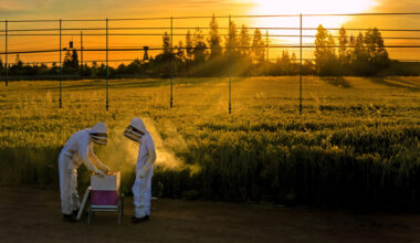 Fresno State 2025 – Fresno State Today