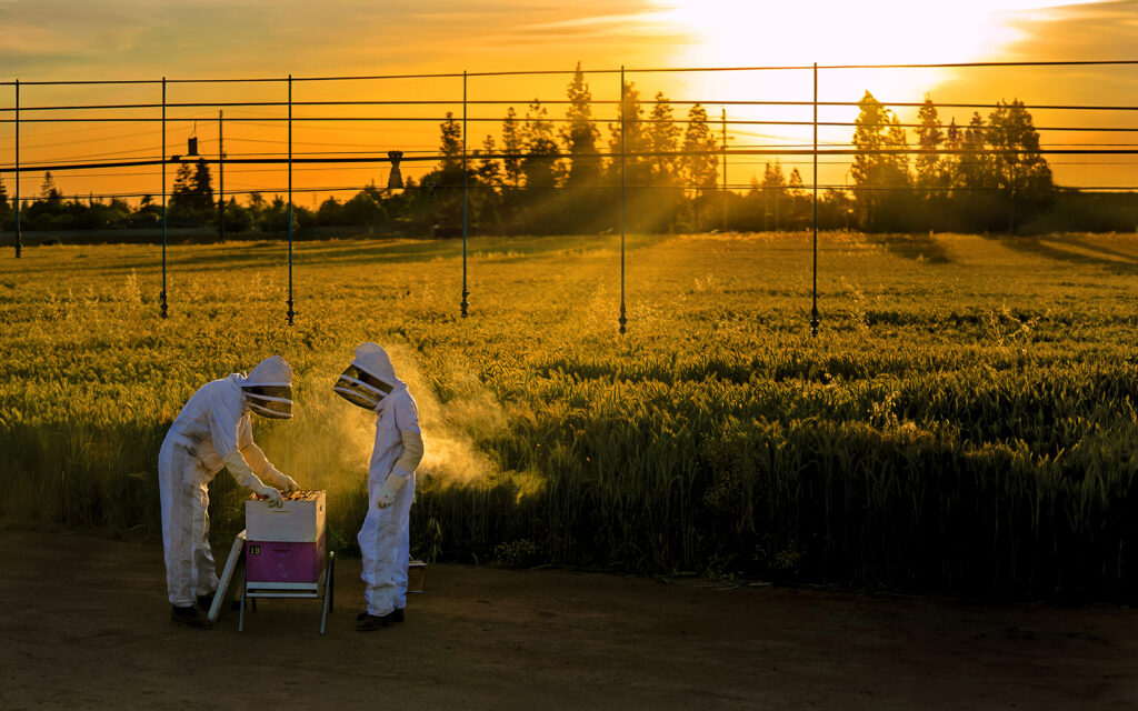 Fresno State 2025 – Fresno State Today