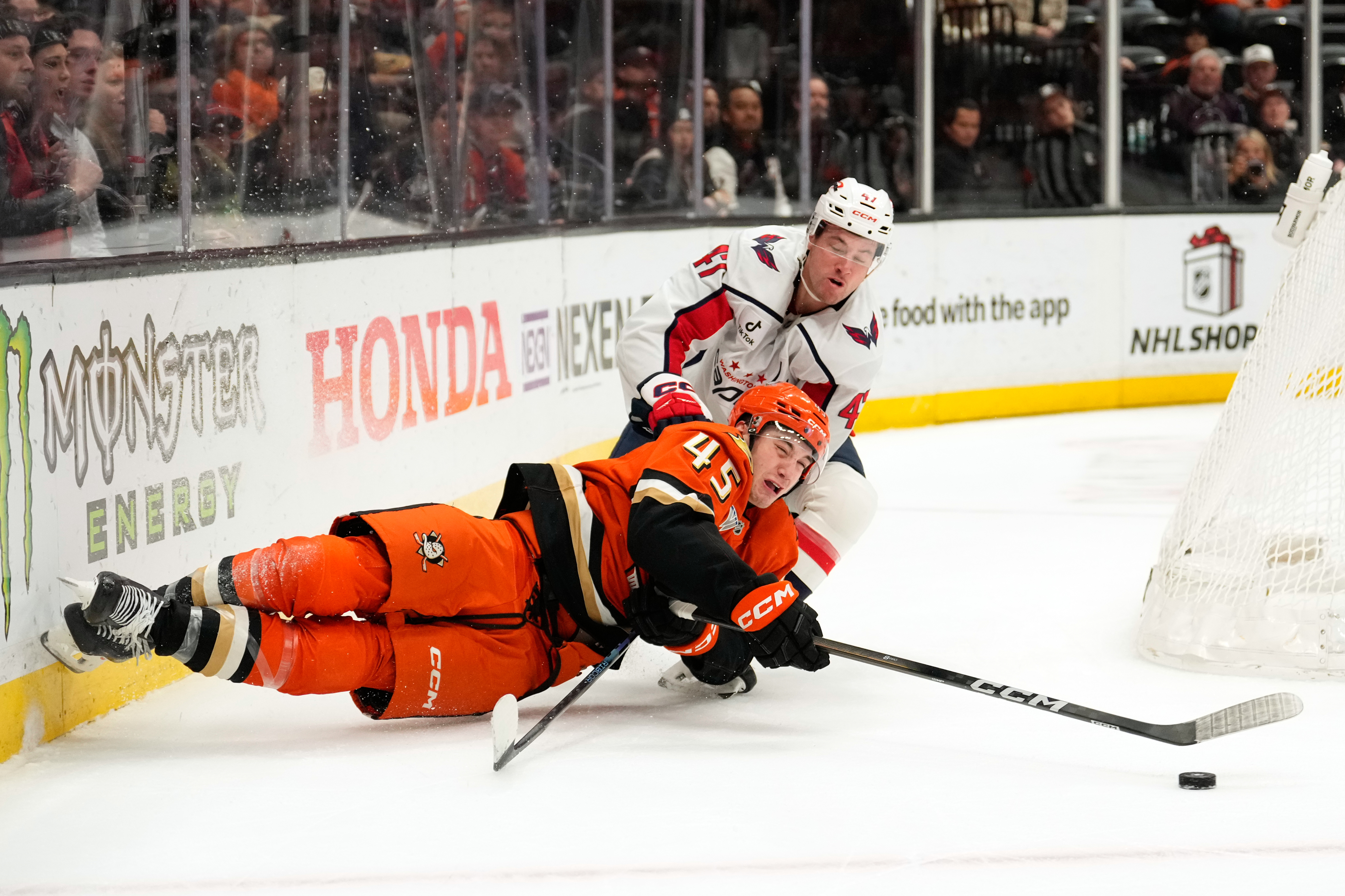 Ducks right wing Beckett Sennecke, left, falls as the tries...