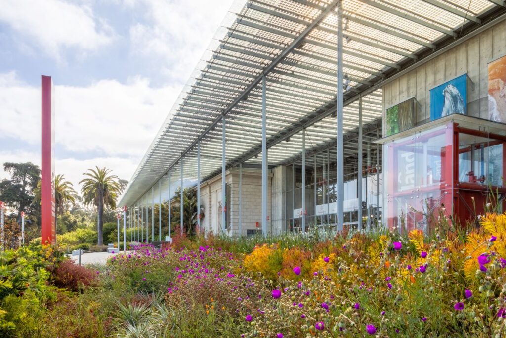 Academy of Sciences exterior.